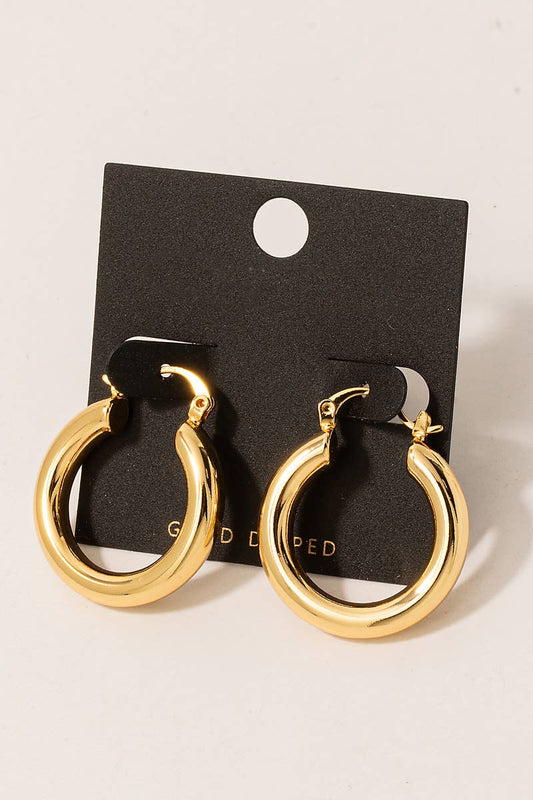 Latch Hoop Earrings