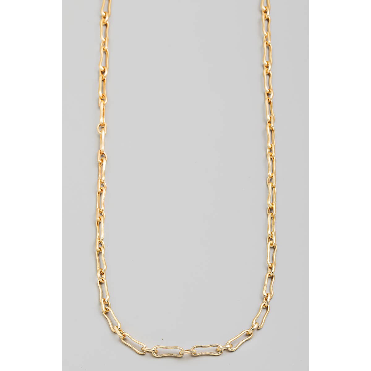 Chain Link Long Necklace