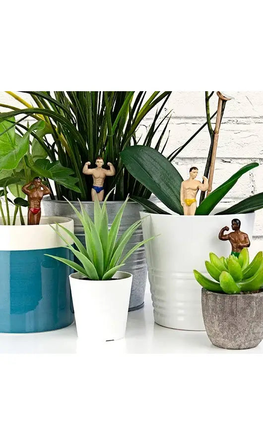 Mini Plant Pot Hunks | FINAL SALE